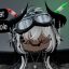 noithesilly