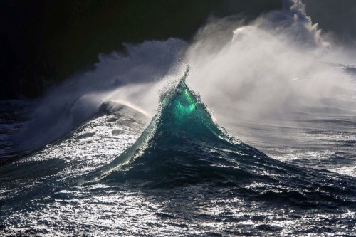 highenoughtoseethesea:  Moody Beauty Photos: Ray Collins