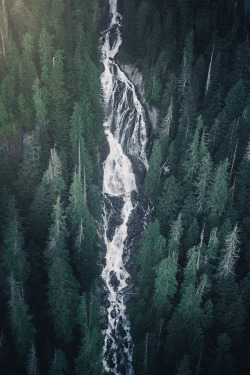 heaven-ly-mind:Untitled