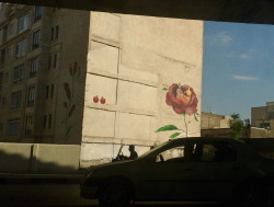 persianjasmineflower:  art on buildings is something you spot a lot in Tehran and it’s one of my fav things in the world Tehran, Iran. 