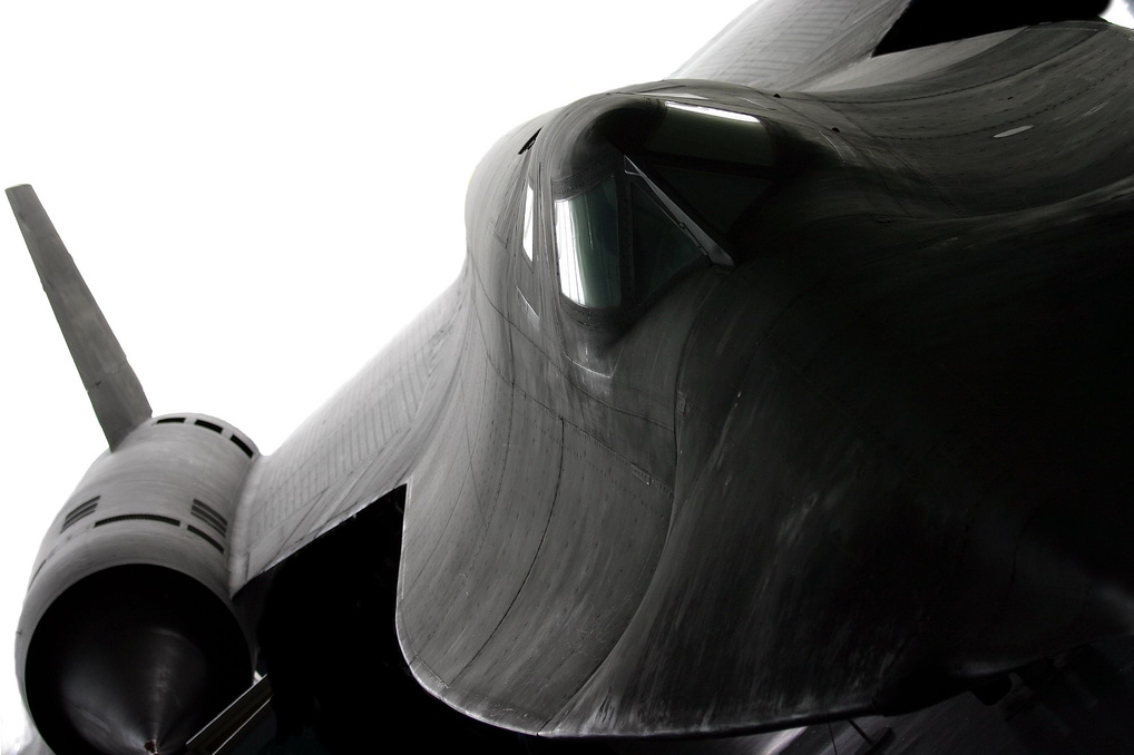 fabforgottennobility:  Blackbird 