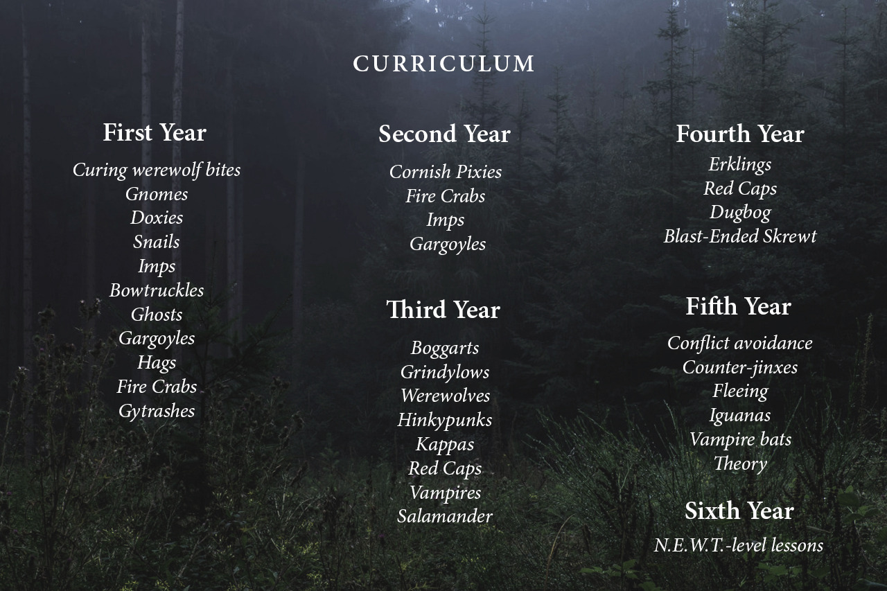 i-am-aesthetica:  Hogwarts Classes: D.A.T.D.A 
