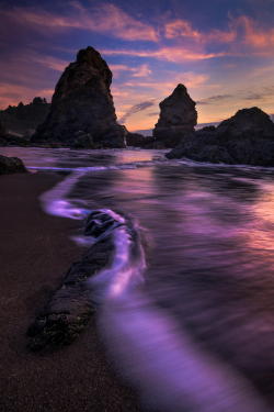 sundxwn:  California Dreamin’ by Jeff