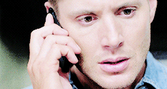 Beautiful loser