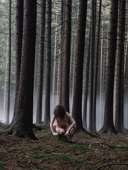 What human destroys, nature creates