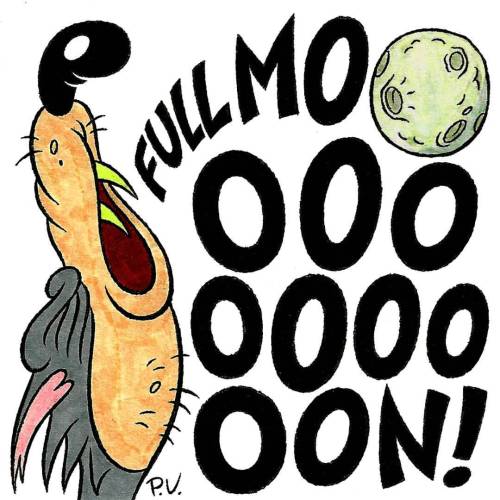 Full Moon! #fullmoon #cartoon #pipsqueakscorner #pedrovargas #inktober #inktober2016 #drawlloween #d