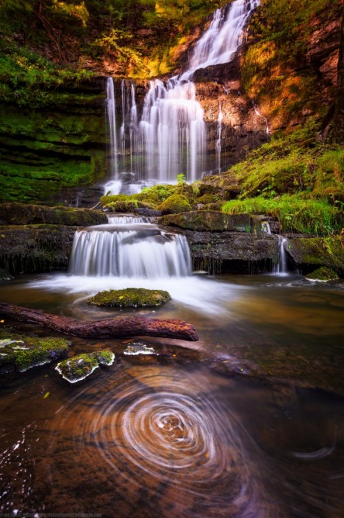 Sex landture:  Scaleber Force Waterfall, Settle, pictures