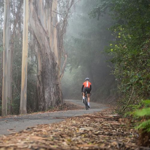 pedalitout: What adventures are you planning for 2016? #STRAVA Credit stravacycling via ift.t