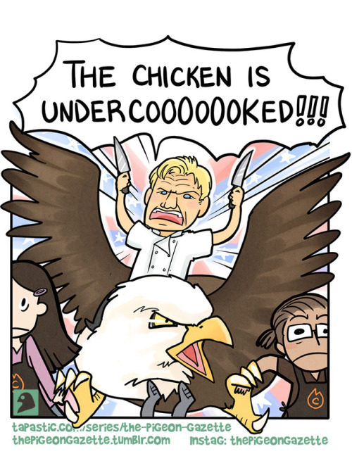 thepigeongazette:‘murica!!!!    Happy (early) 4th of July :) P.S.: I know Gordon Ramsay’s Scottish, 