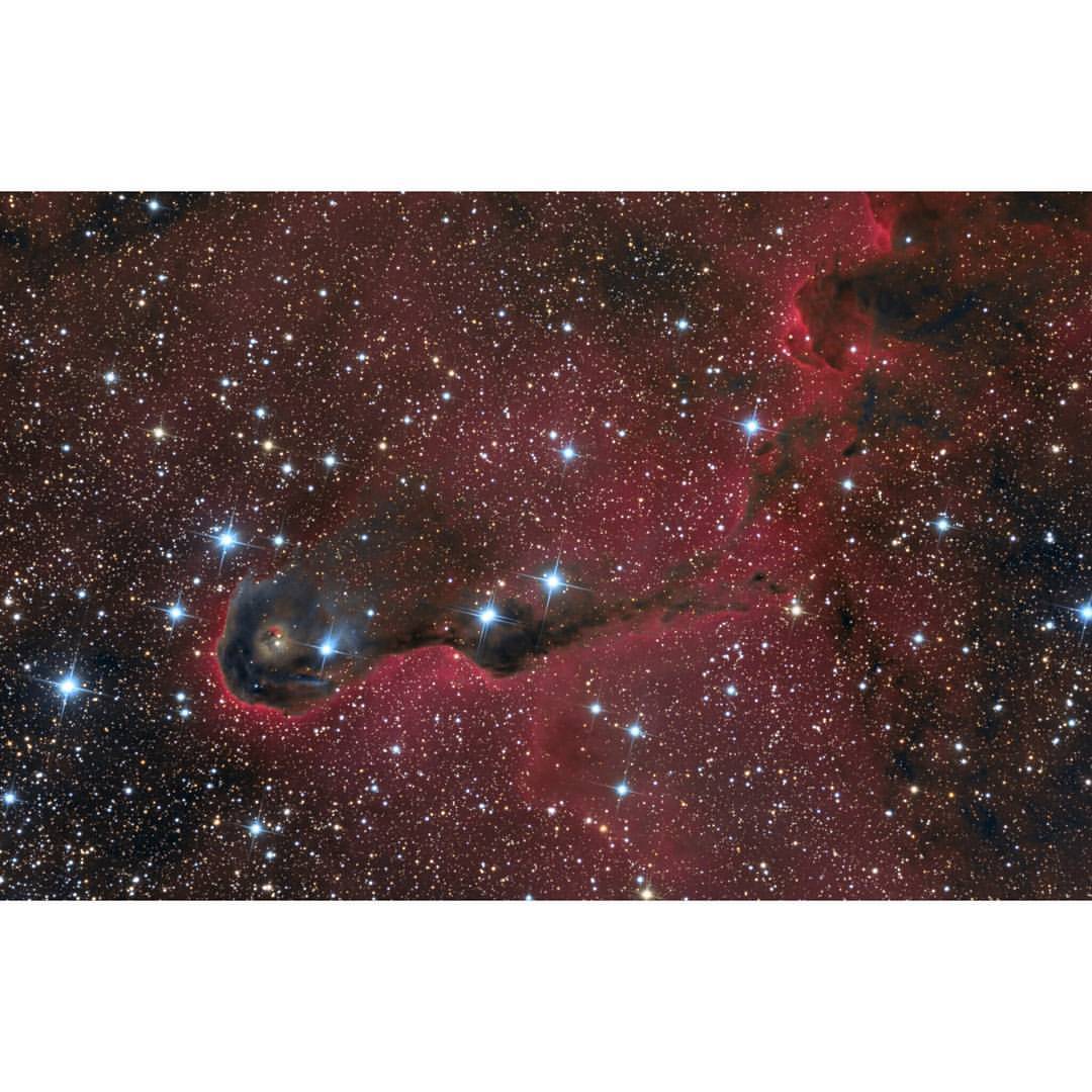 The Elephant&rsquo;s Trunk Nebula in Cepheus #nasa #apod #elephantstrunk #nebula