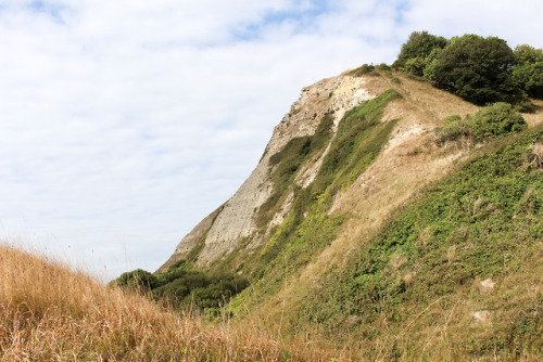 Purbeck Hills - Dorset, Summer 2018.Instagram© Jim Paterson - All rights reserved.