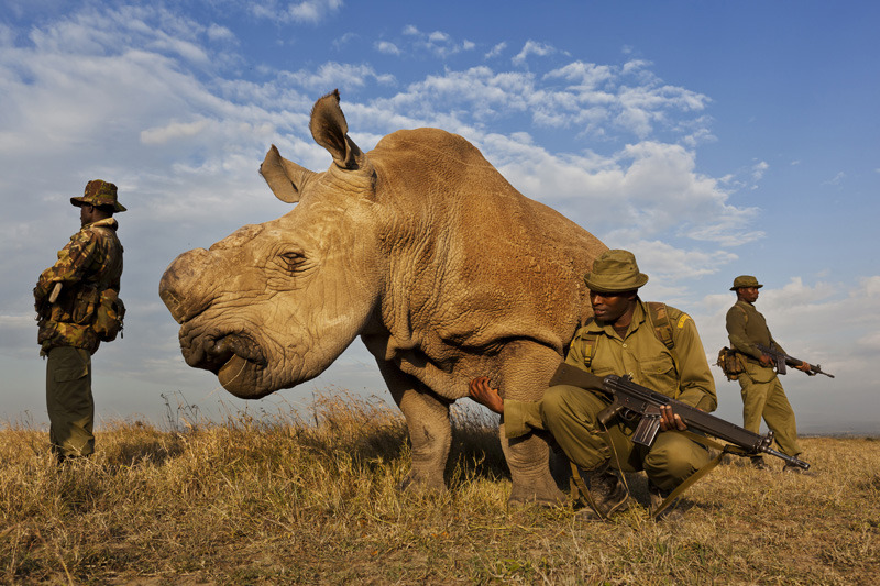 just-remington:  African Rangers Against Poaching.
