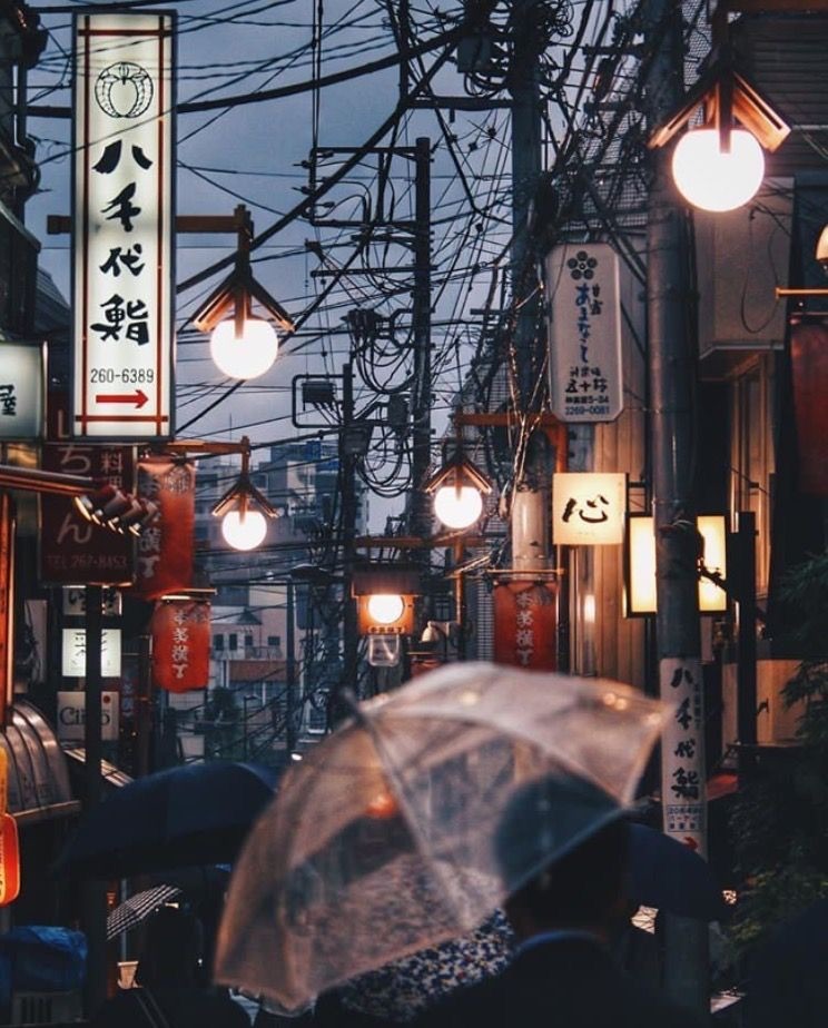 My past week on Japan