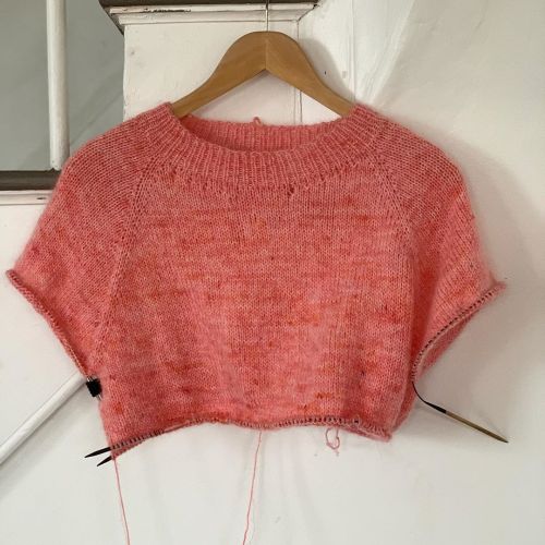 Never underestimate the power of color.Pattern : Cozy Classic Raglan by @jessssiemaeYarn : Plush