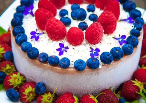 Olenko&rsquo;s Raw Vegan Happy 4th of July Cake Happy Independence Day America! I made this deli