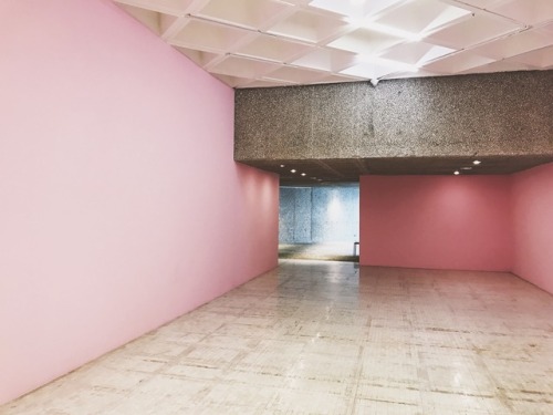 museo tamayo ~ mexico city, mx
