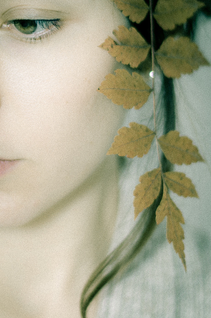  by Emilie Spring 