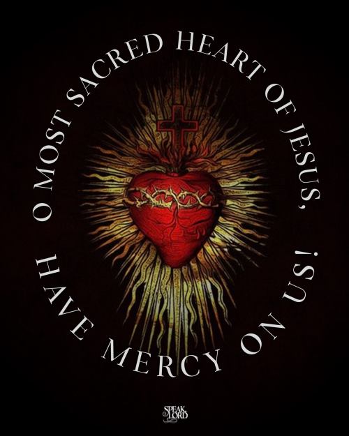 catholic-millenial: O Most Sacred Heart of Jesus,Have mercy on us!