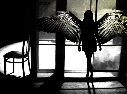 fotosfornovelas:  -Chicas con alas