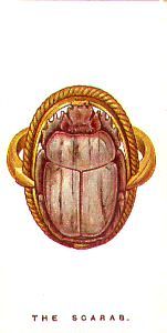 Scarabs are engraved stones representing the Scarab beetle (Scarabaeus sacer), which rolls each of i
