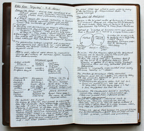 My journal pages from 2019 / part 1. : academia? like the nut?
