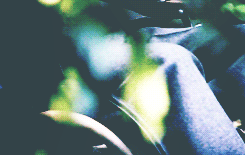 favnia:  “…Sometimes I see flames. And sometimes I see people that I love dying