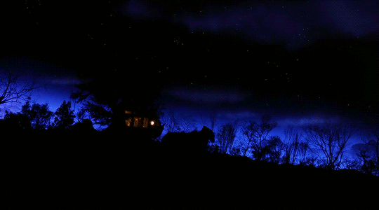 loveofromance:  Bram Stoker’s Dracula (1992) dir. Francis Ford Coppola