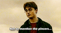 sunshineandrainbows-yer:  high harry was great 