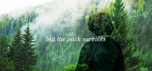 jon-snowing:  — Eddard Stark 
