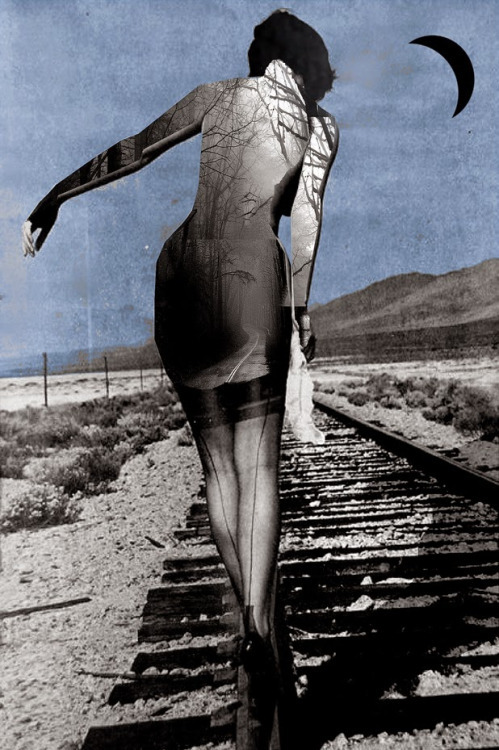asylum-art-2:  Beautiful Photo collage by the famous Loui JoverSaatchi Art,  Facebook,