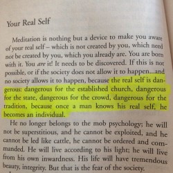 the-art-of-yoga:  “…the Real Self is dangerous: dangerous for the established church, dangerous for the state, dangerous for the crowd, dangerous for tradition, because once a man knows his real self, he becomes an individual.”  —Osho