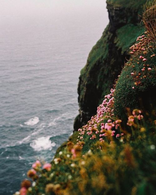 everything-thing:Co. Clare, Ireland |bruinalexander