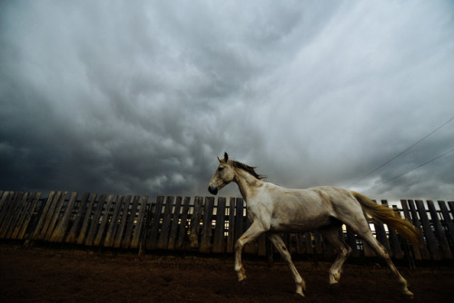 nowhoa: Before the storm.  I take a lot of photos of this horse, and although he can look rough and 