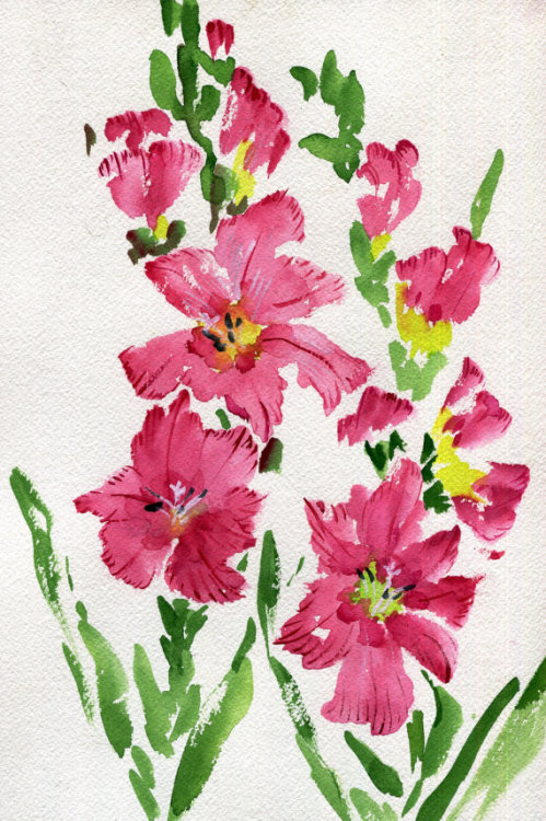 havekat: Glad To Be In The PinkWatercolor and Chinese Ink On Cotton Paper, 2015, 9"x 12", Pink Gladiolus On Etsy  Oh my god this has to be my new favorite 