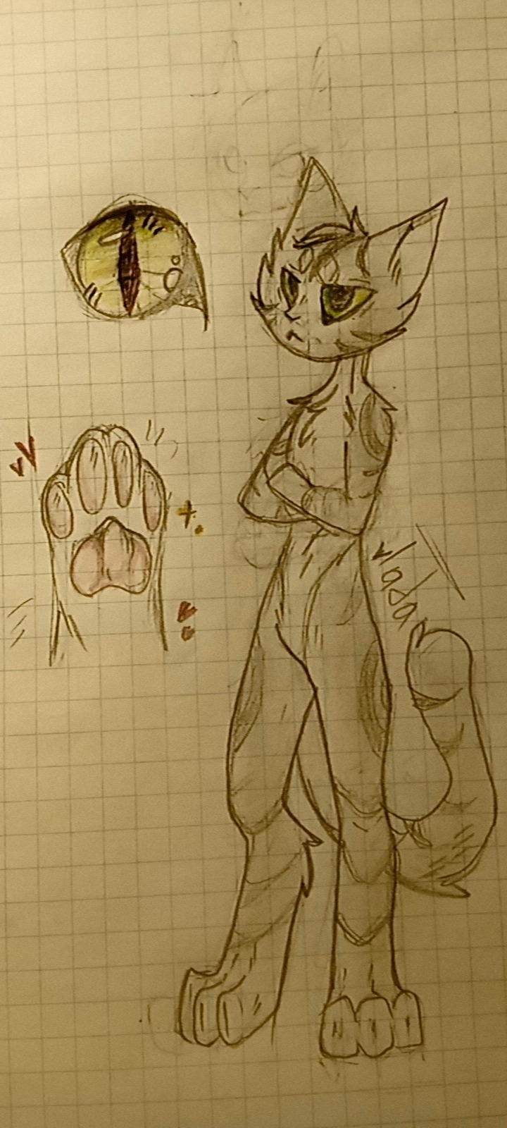 Hello! This Evening I Decided To Draw My Lost Cat Named "Nightmare" With A Human Physique. As For Me,
