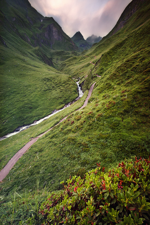 leebarguss:(by Lukas Furlan)