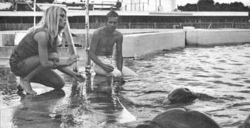 Brigitte Bardot and dolphins, 1960s