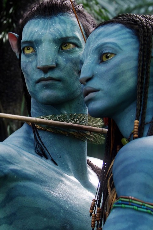 Avatar neytiri costume