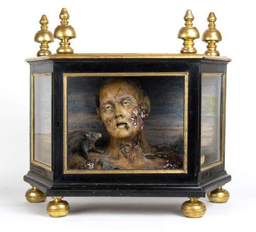Ceroplast, Anatomical Bust With Verminaio - 1699-1700, Gaetano Giulio Zumbo (1656-1701).