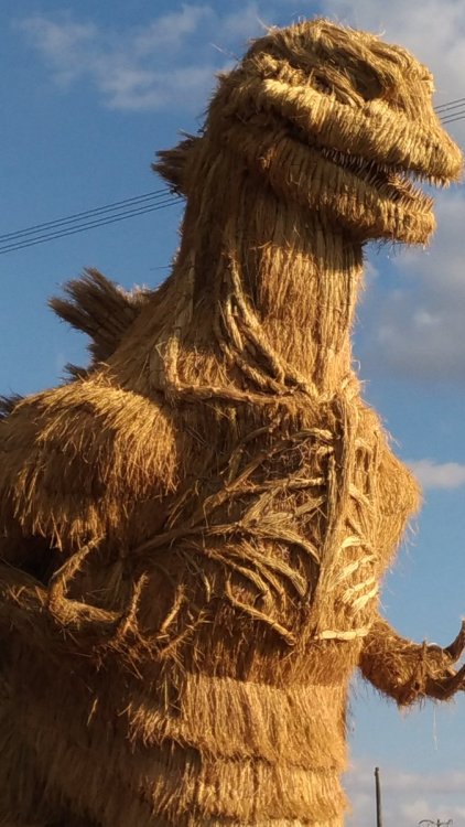 としあきたろぅ‏@ohbinder筑前町かがし祭の藁で出来たシンゴジラ、予想外の出来に驚いたわ自衛隊まで来てるし#シンゴジラ　#ゴジラRice straw Godzilla