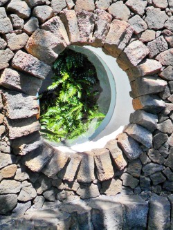 vwcampervan-aldridge:  Volcanic stone window, Jameos Del Agua, Lanzarote, Canary Island 