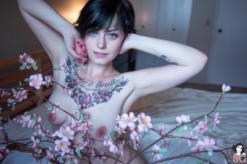 past-her-eyes:  Ceres Suicide ceres.suicidegirls.com @ceresleigh @ceresleighmodel @suicidegirls Link to South African SuicideGirls 