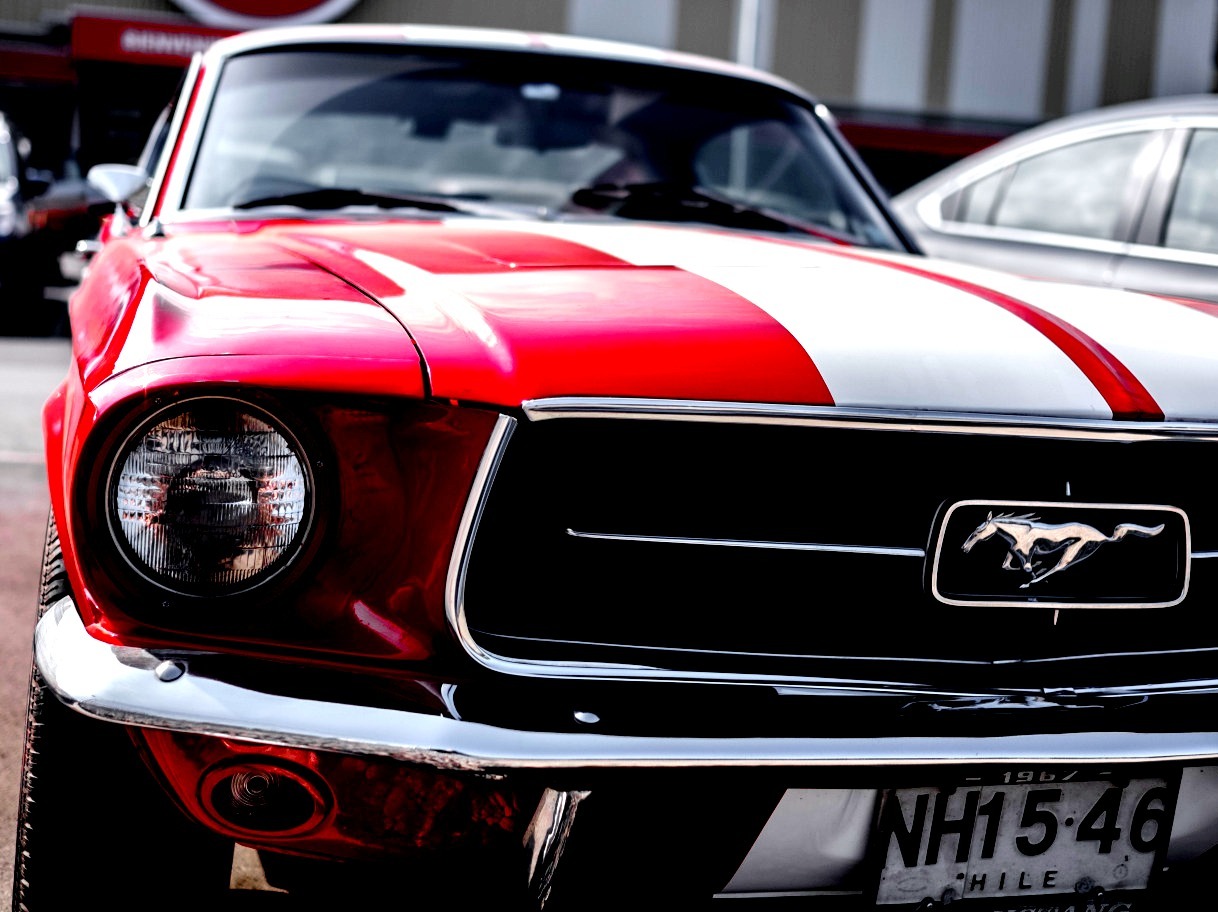 JUST THE COOLEST MUSTANGS