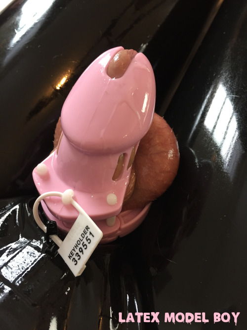 latexmodelboy: Locking my chastity cage to my catsuit: Keeps me horny, aching for anal and sealed in