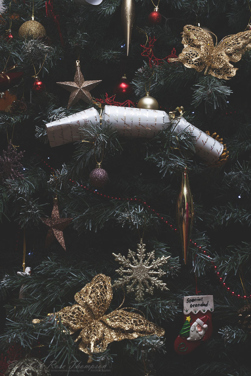 effys-photos:  Our Big Christmas Tree. - (effys-photos)Tumblr | Facebook | Flickr