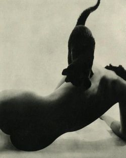  Photograph by Man Ray  