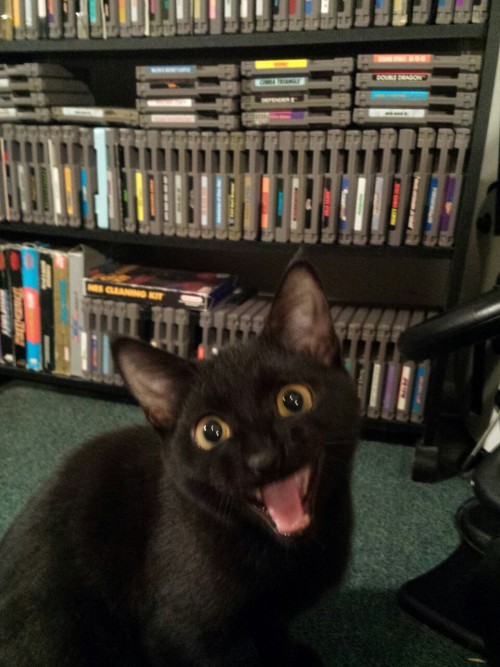 he yell