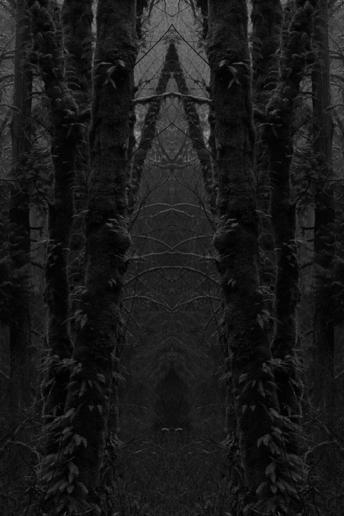 overnitereligion: dead in the templegoth jones