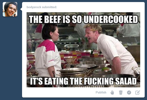 ziamsclassicbitch: snicker-doodle-bean:   gaycaptain:  swagslick:  swagslick:  high-blogging:  high-blogging:  fasciation:  fasciation:  bodysrock:  everyone who reblogs this will get gordon ramsay in their inbox    i’M CRyING   if you don’t keep
