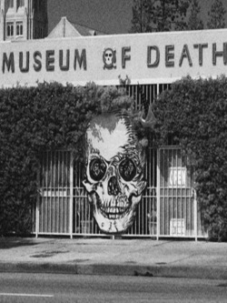 halloweenfunstuff:  http://halloweenfunstuff.jbnetbiz.com/